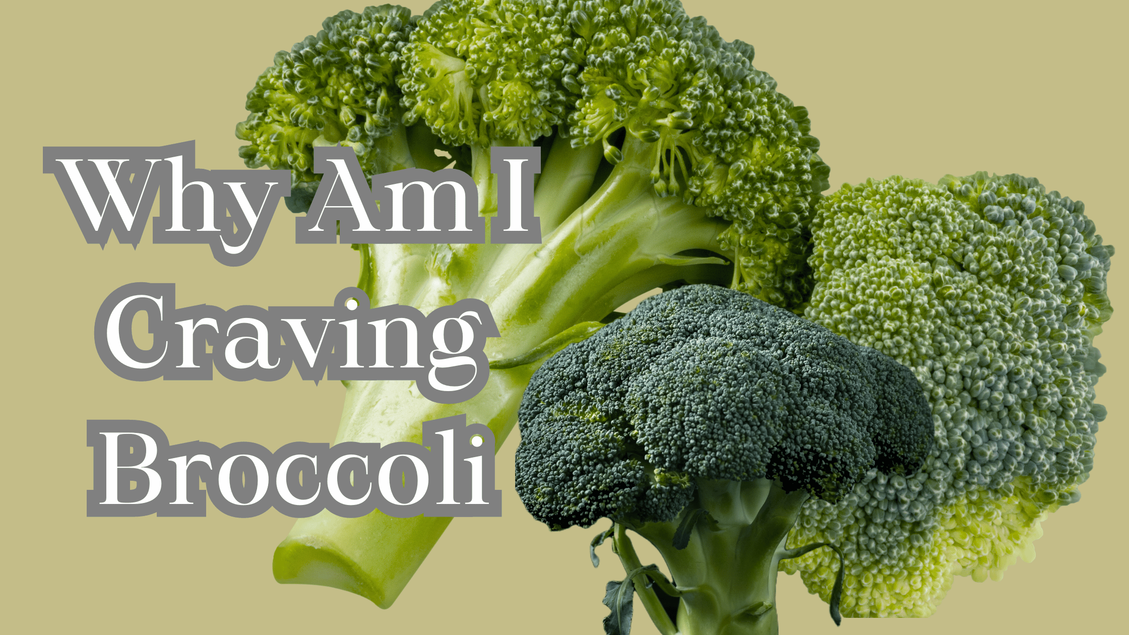 Why Am I Craving Broccoli? [Reasons] - healthcarrel