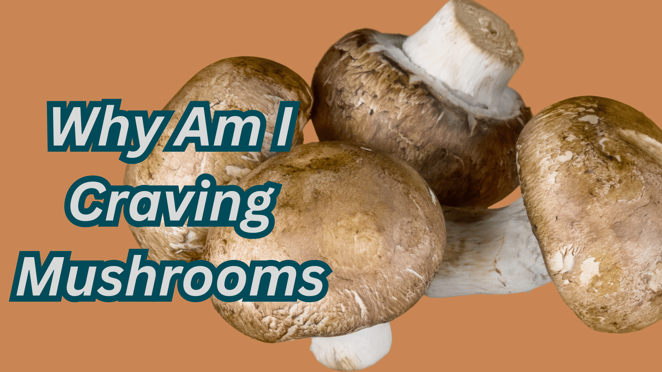 Why Am I Craving Mushrooms? [Reasons]